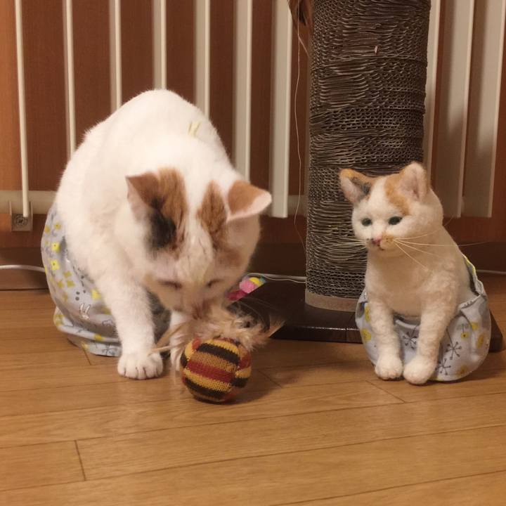 31ccf993 9d04 4f21 be01 cb8ca70a4997 1528199939192