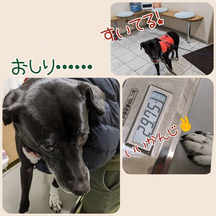 31cd3ba7 963c 4c13 a4c5 5b2041c82cbe 1708686602786