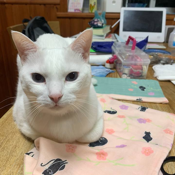 31cd424c 8e34 48b9 b93d 2b0142f73381 1584193711148