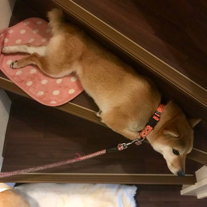 31cd42de ce68 428d 889f 1c3e584022d2 1525187920781