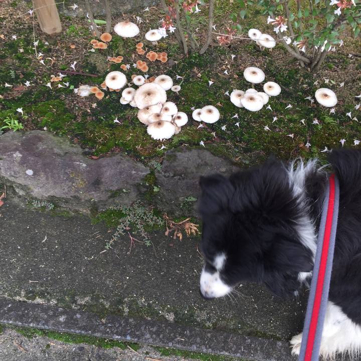 31cd75ce bea9 4b3a b587 866e3f24e7ce 1562196521701