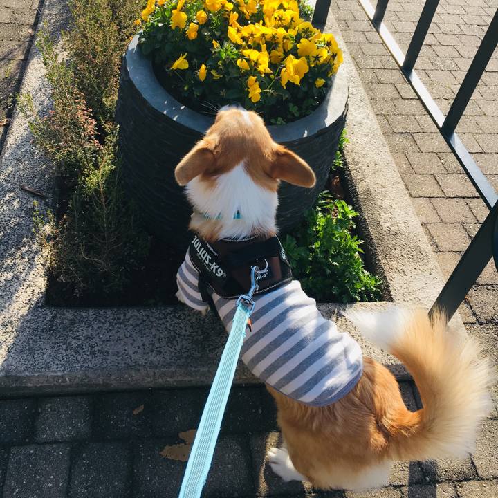 31cd8c16 f5a7 4450 b5e4 9748a64be868 1576673850314