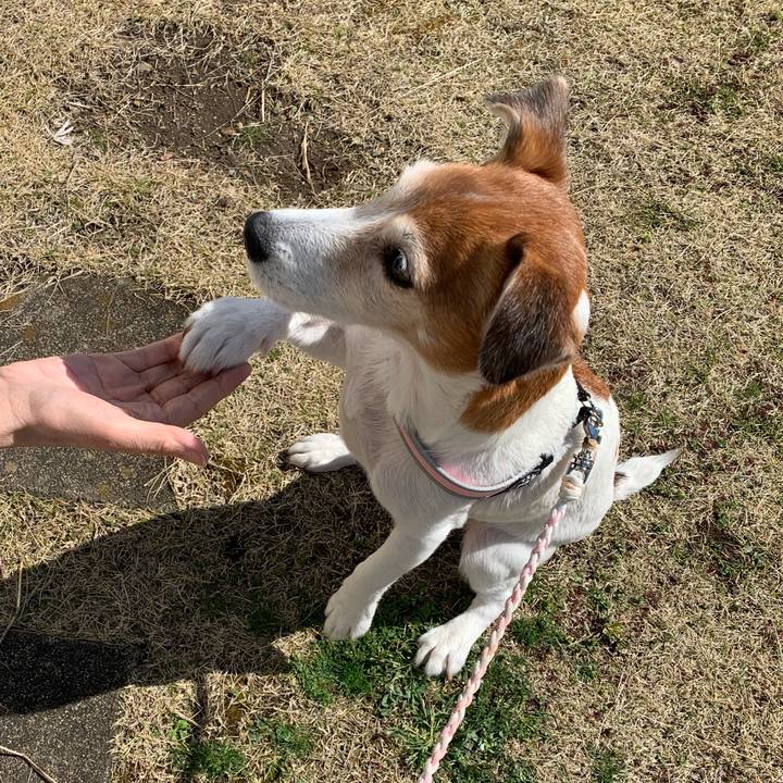 31cda0c6 b338 4abb aa17 2ab10fb903b4 1584275044438