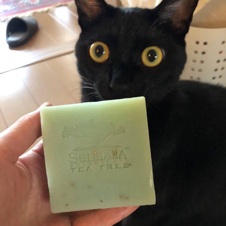 31cdb006 9382 4bcb b3f0 08b7093bfb5c 1539043496536