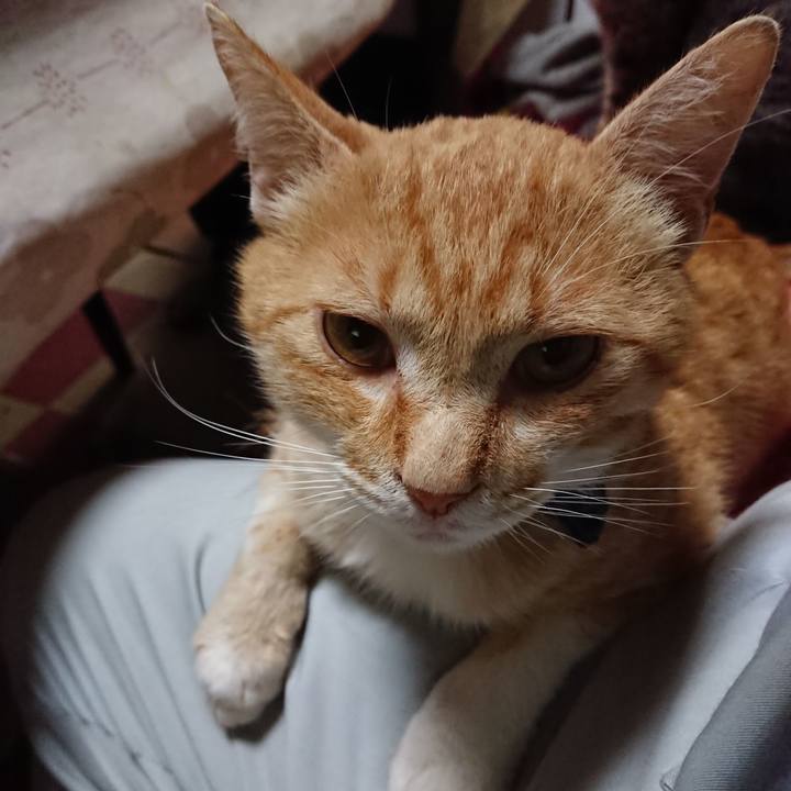 31cdc2a3 e079 4319 96d5 cd05b745f25c 1559902468008