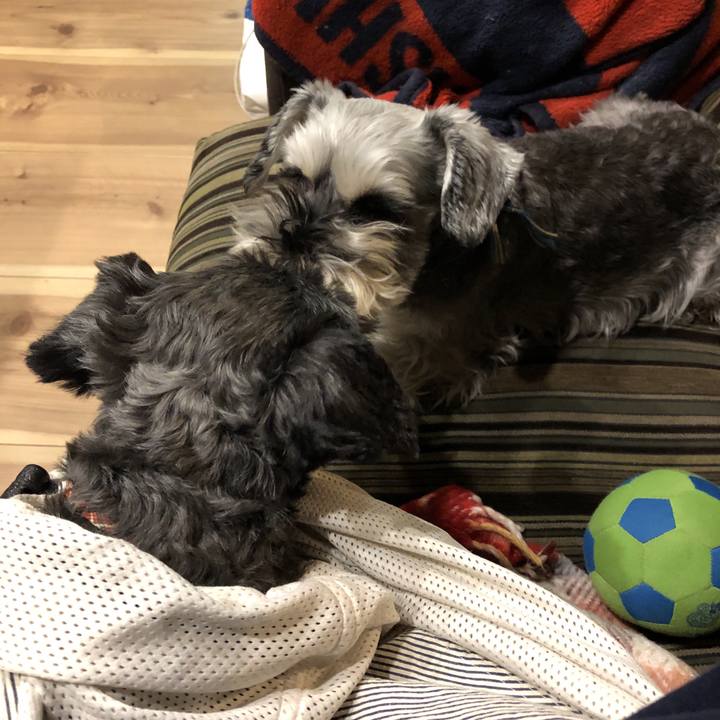 31cdea61 4d5b 4548 9955 8003aa8c5f12 1583299115375