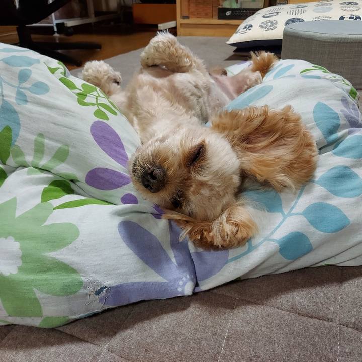 31ce2fc7 9235 4d9a 964d 9700e1699c3b 1665975180939