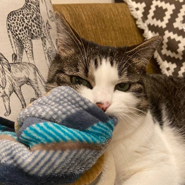 31ce70df 2eea 4430 ad9e 52d6994025e2 1662512585680