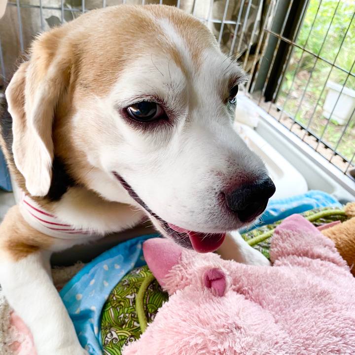 31ceba61 6fa5 4f87 b9f2 9c125c64718b 1600053963088