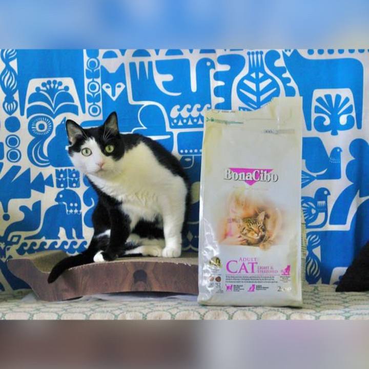 31cebd5d 2db7 4c1c ae9e 54030d7ce674 1672444435346