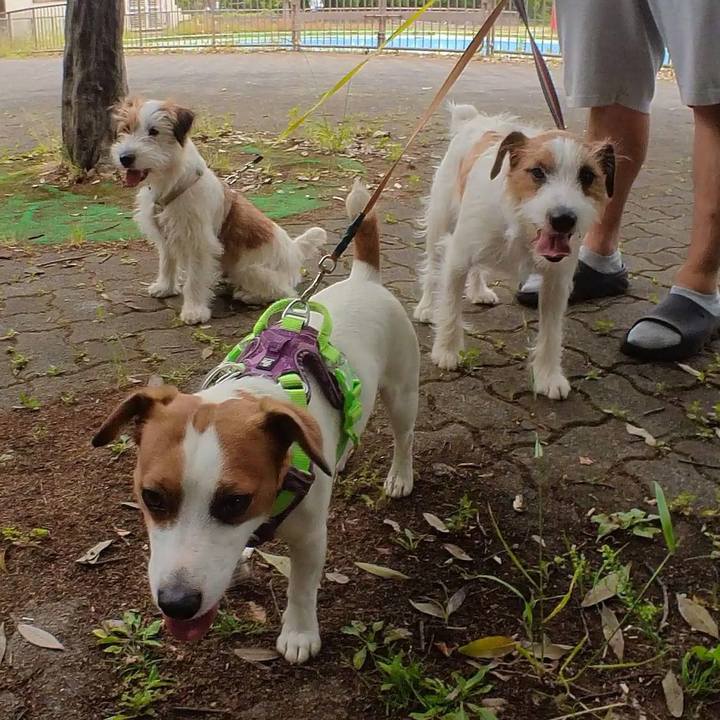 31cf28bd 1037 4616 b531 622e98620097 1685283146313