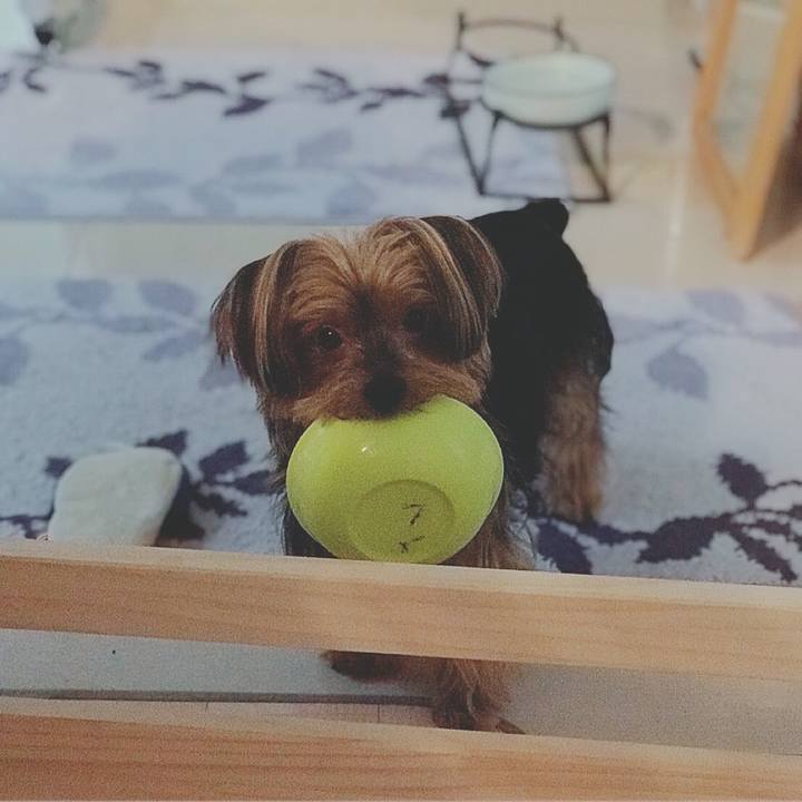 31cf3b97 a91d 447c b123 435ec470e71c 1528190391980