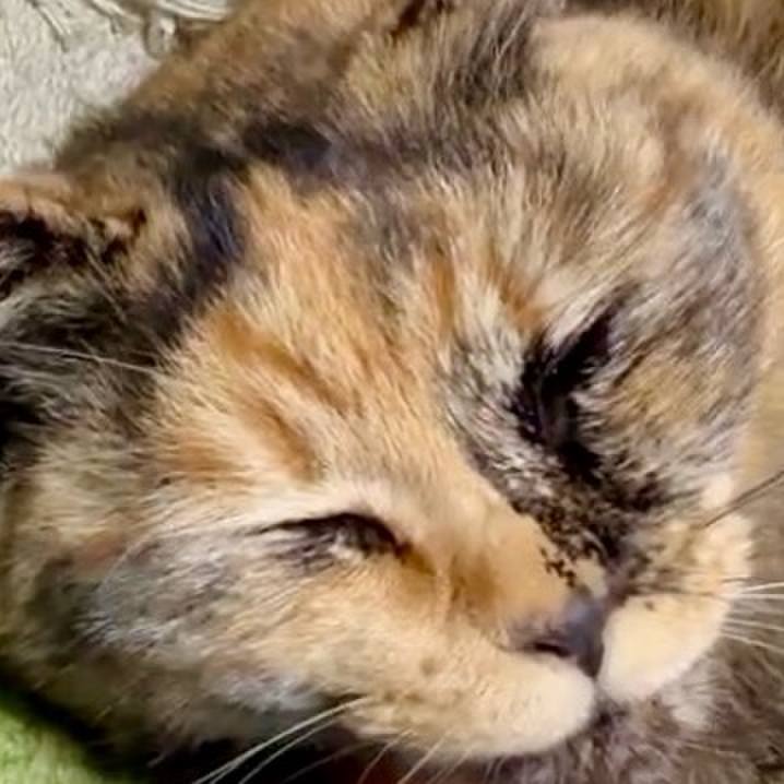 31cf445b 9c95 4f35 95fe aaf723090d42 1750499048892