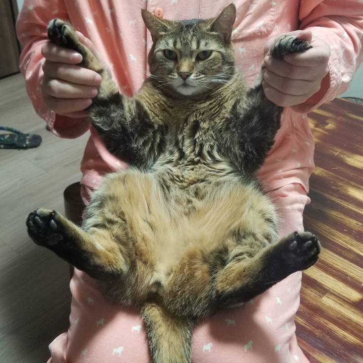 31cf6a62 7eb4 4f5d 945f 3e99935aa4f2 1553605224382