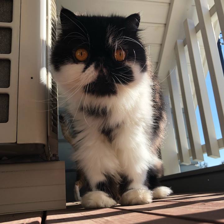 31cf6c31 2a23 49c3 9ef0 5789f16cf638 1606099656620