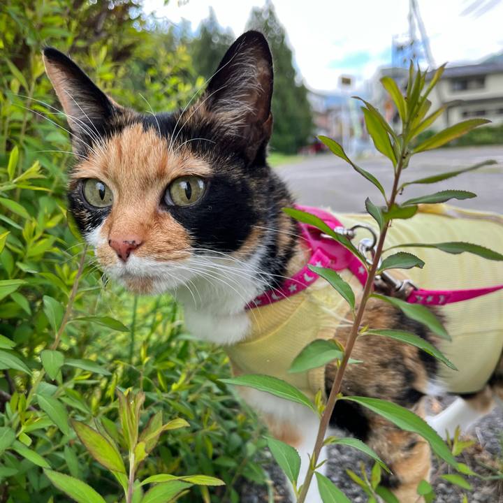 31cf901d 004c 49b4 b37d a9c2e959ce4d 1661725870979