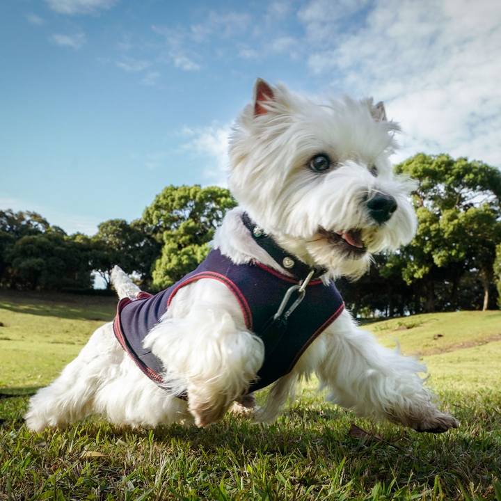 31cfa638 7fee 4f69 9f30 912e089efbc5 1538561195745