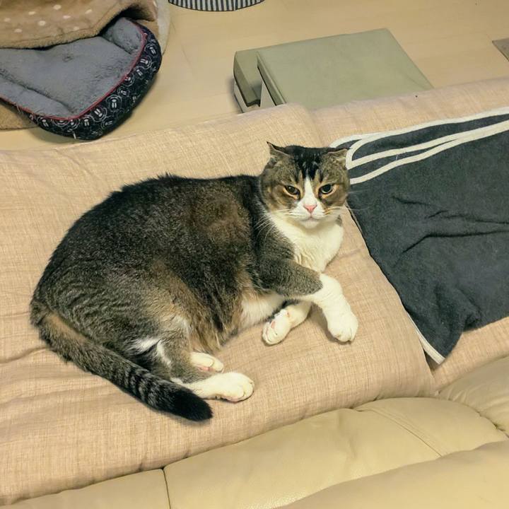 31cfb24d 48c3 42a5 9528 c93f40f047d5 1738764621437