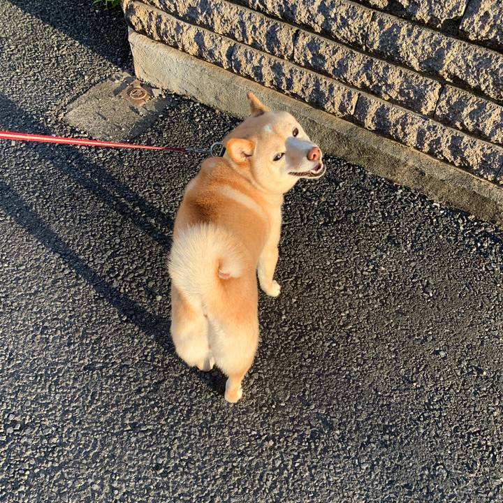 31cfb5d7 37a7 424b 9849 f2ad387133e2 1656280131835