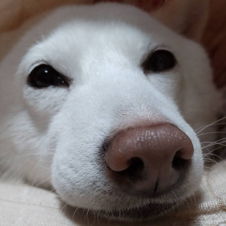 31d02080 79ea 4526 8152 02c2ff8c9e2a 1643716810644