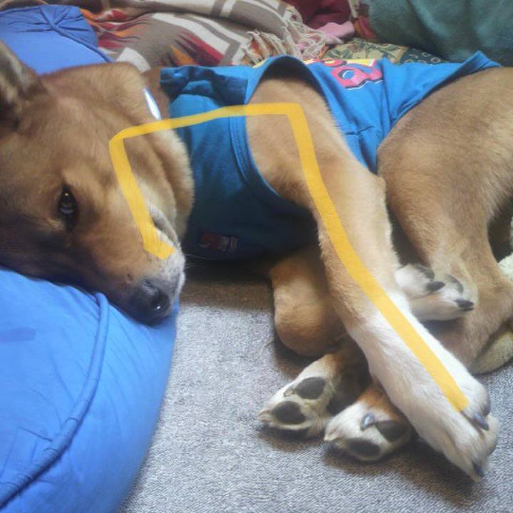 31d06758 c7df 43d1 a998 cb90300e2df0 1686145204751