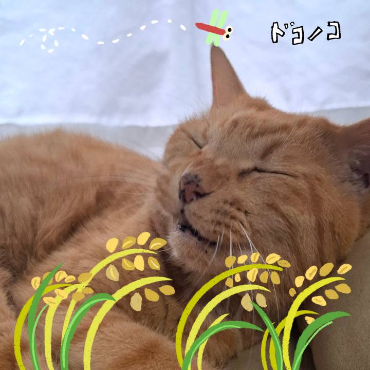 31d0ea2e 70af 47e5 a160 795939fa0dc9 1761263314916