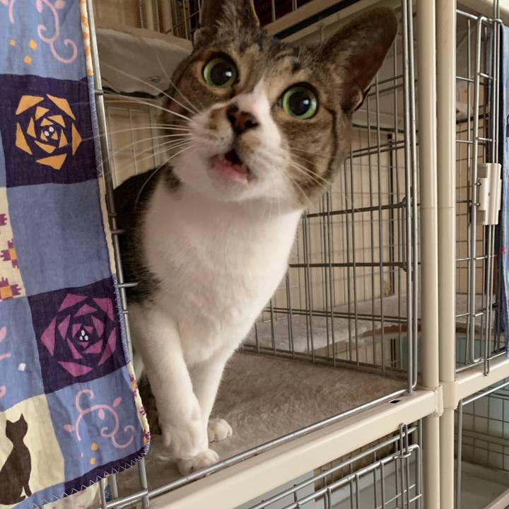 31d0ed82 0952 4c0f a891 5f38d2a665c3 1552784902901