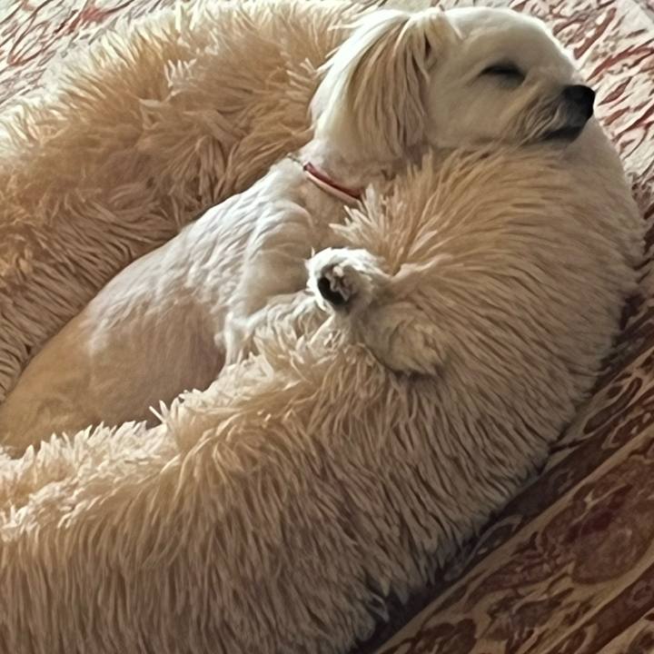 31d12e2d ab5e 4178 84da b58f2f80384c 1664156395088