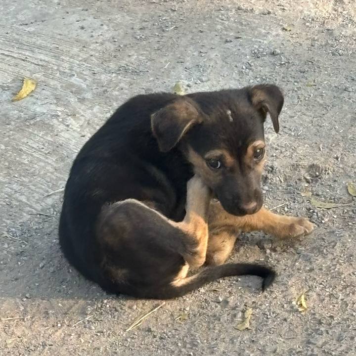 31d1348c bd1f 4a04 98d3 6512ce629f75 1770872472283