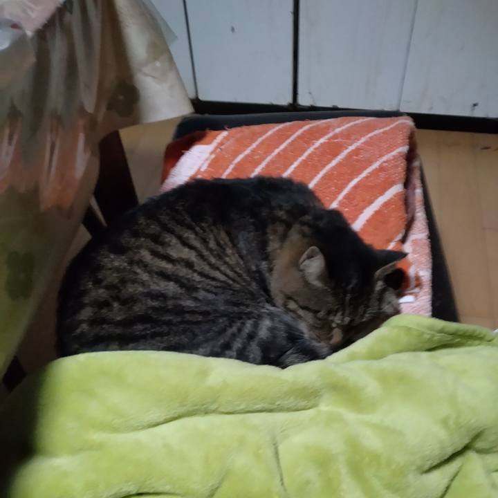 31d1974c a912 4f60 81c7 5bbbd408308e 1700173062620