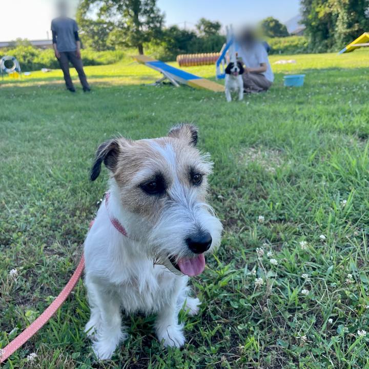 31d1c1d2 8d00 4d8d 994e d94cd37c87c0 1657286229758