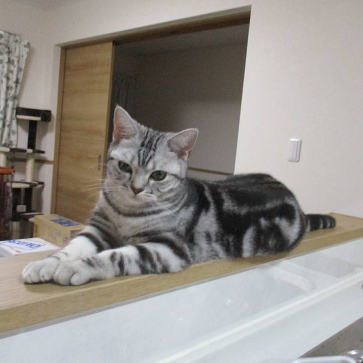 31d1cee6 8188 4c69 a217 9b78b071e224 1556448859956