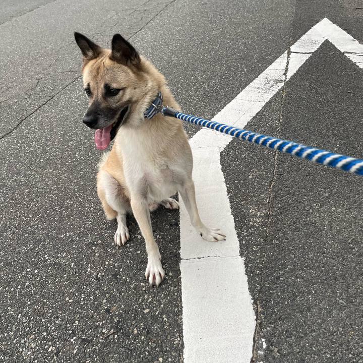 31d1ec67 20a0 4872 a5ae 486c78dba608 1662464765343