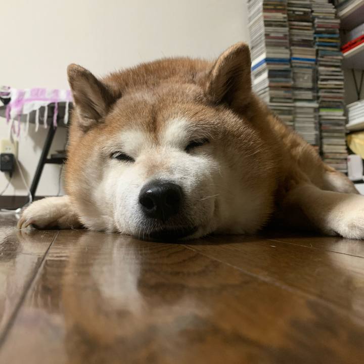 31d23d4c 3232 487d 9986 b57255a7812d 1592607716412