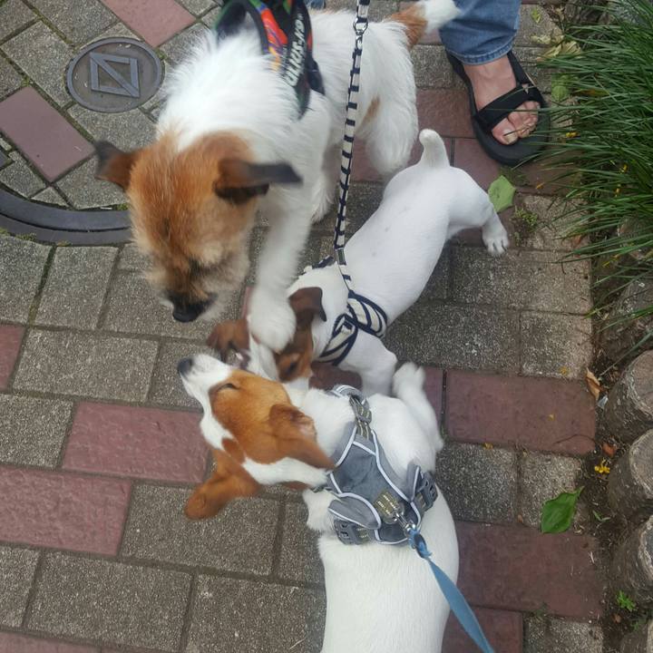 31d25817 2f13 4031 ae4b 93628fbd0a08 1558519662430