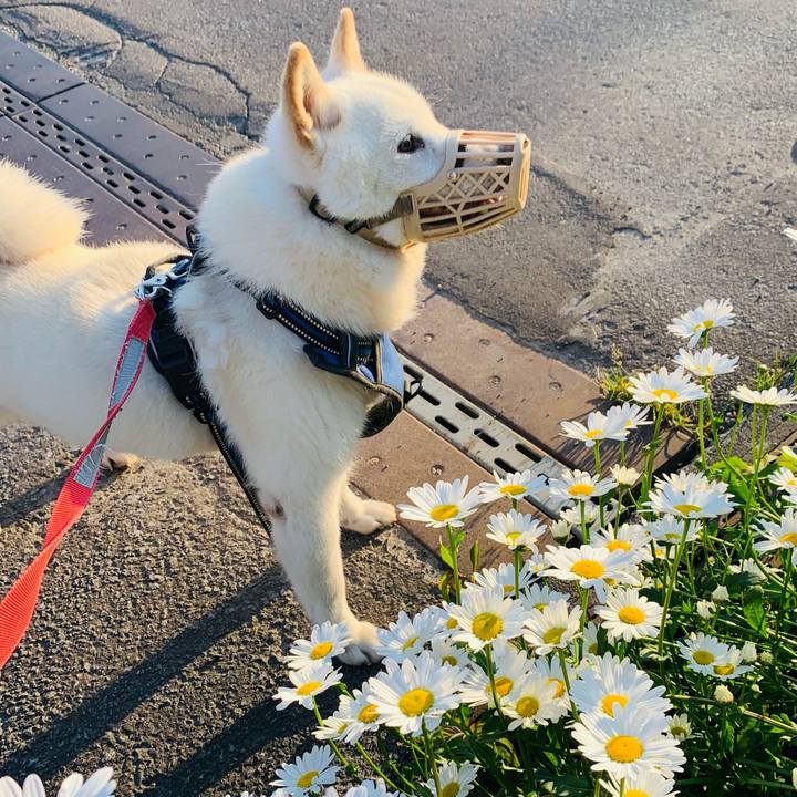 31d27589 aa01 4324 b1b7 19fc89da13c3 1623098353361