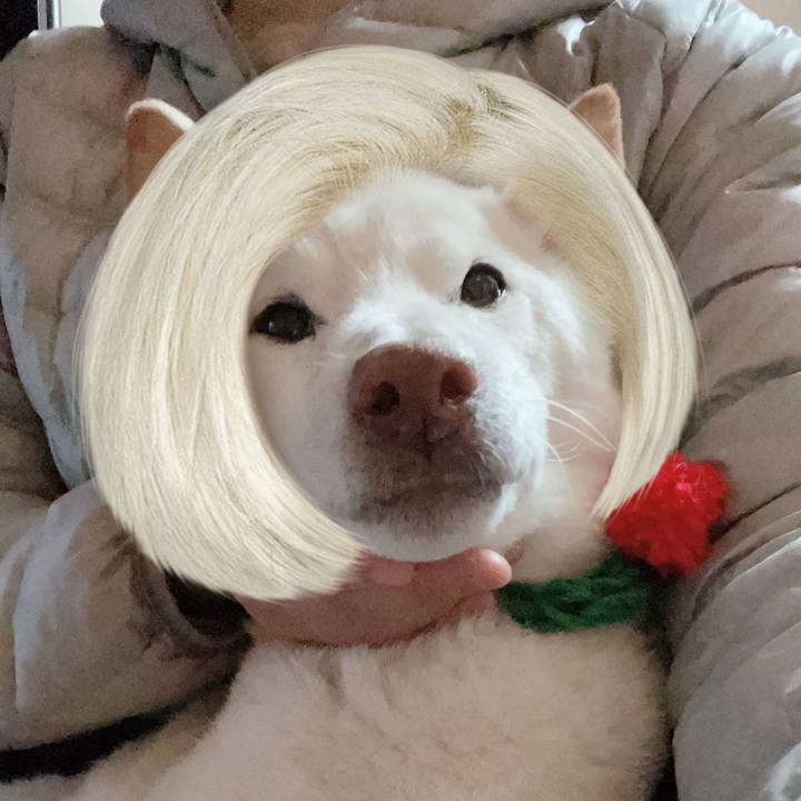 31d27dbe 140c 4185 a667 eb14b672613e 1639553716053