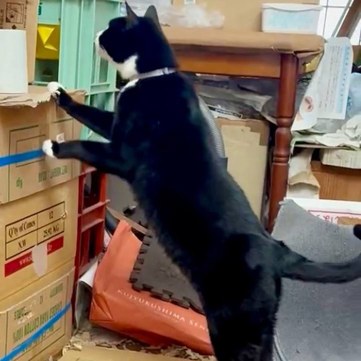 31d2ae30 56a8 4919 a077 13bbbae7602c 1762135593520