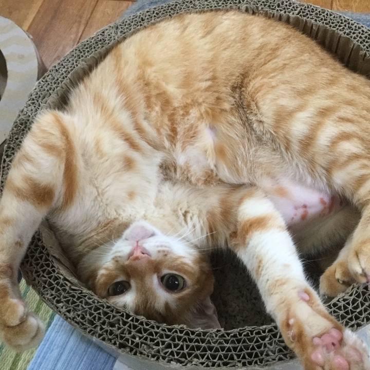 31d2cd41 514e 47c5 bad8 34d482845c72 1559049058278