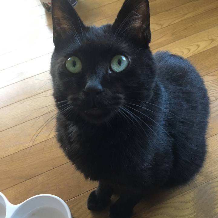 31d2d39d 8d66 4e82 8467 8aa298c8c5cb 1533111250743