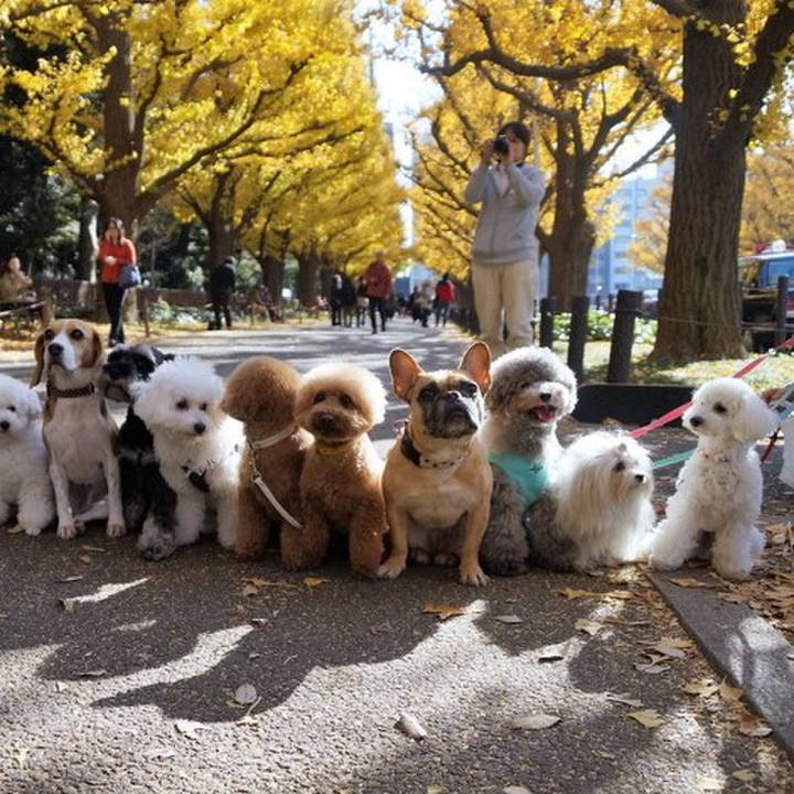 31d2e542 9bd7 4459 946c 9897797e6927 1509241006697