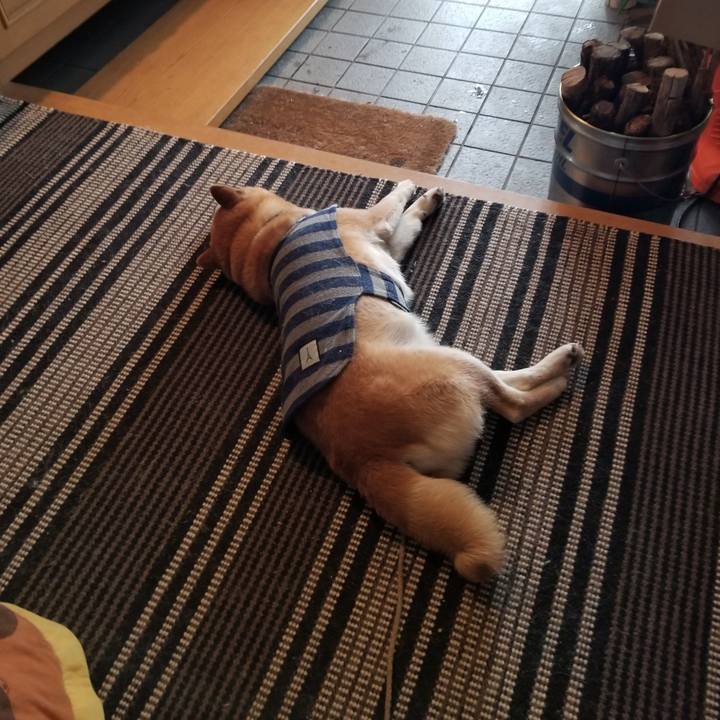 31d2f839 75e8 4979 8565 c1120f71b5b3 1644030289934