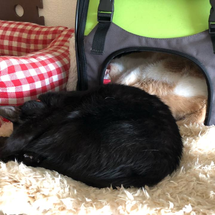 31d326d6 635c 4517 b451 6e66625b22f1 1556435346838