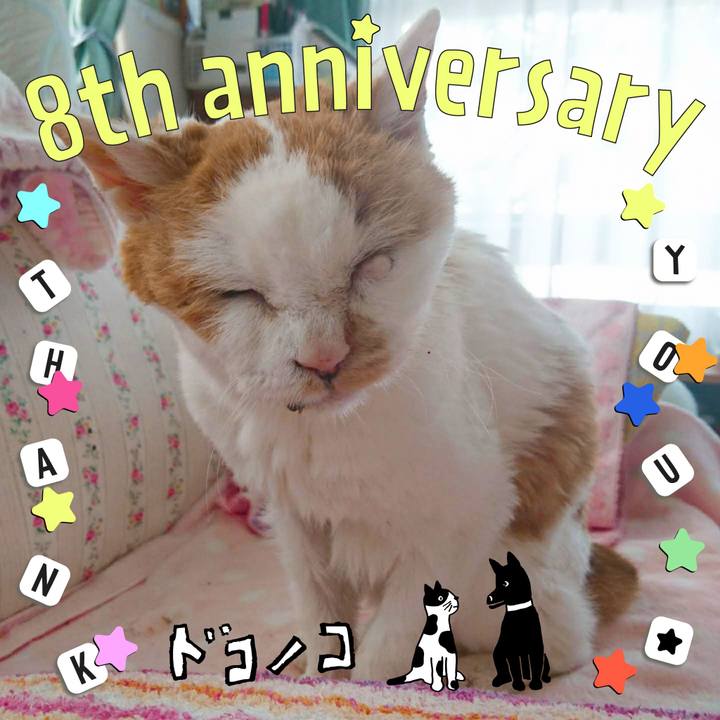 31d34e3b 93b6 448d 8699 385154569bde 1717592392163