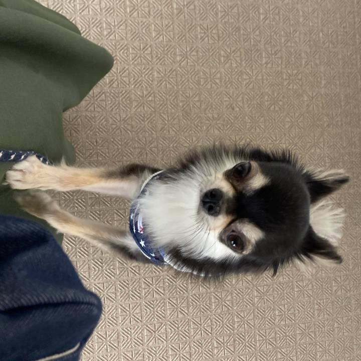 31d35f97 9c42 44b1 900b dfda4c52b2af 1648363130825