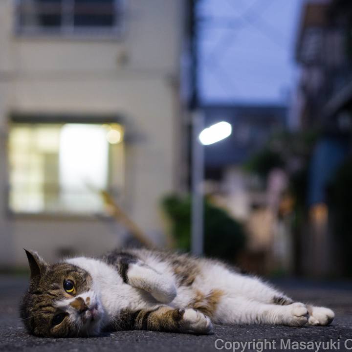 31d379be d35b 4efd ab0c 2f99ba92bbb2 1530159502123