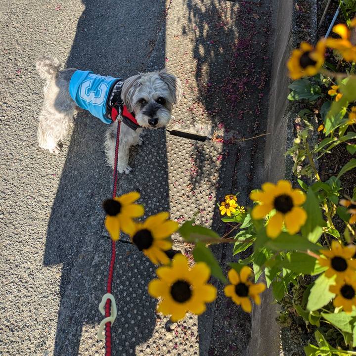 31d37a87 08ab 459a 8f68 619aa1d9fe76 1753402487815