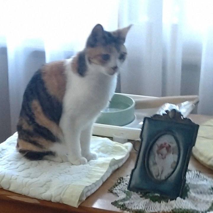 31d3aca4 3bd2 4be0 90ae e4143d0f68cc 1726624021298