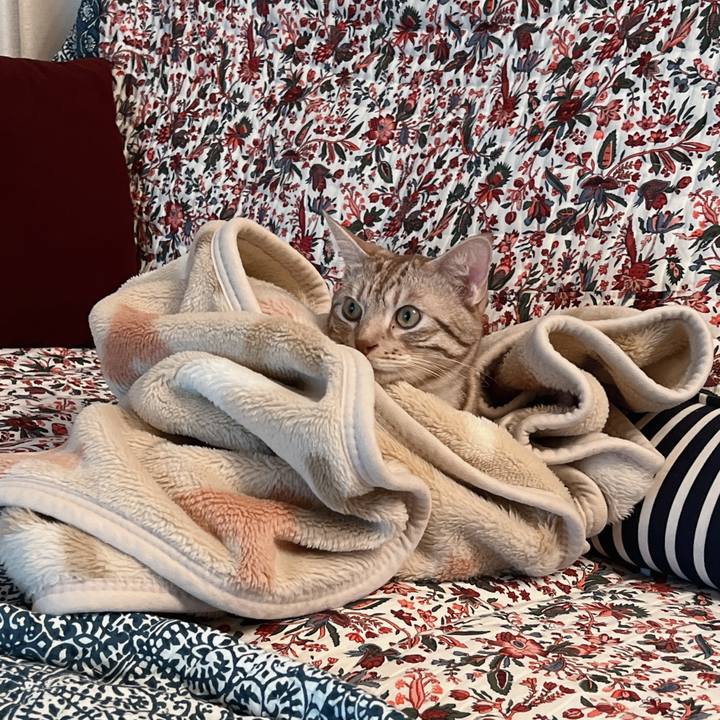 31d3b761 1eeb 4769 969e 893bb8b3b09c 1663156301002