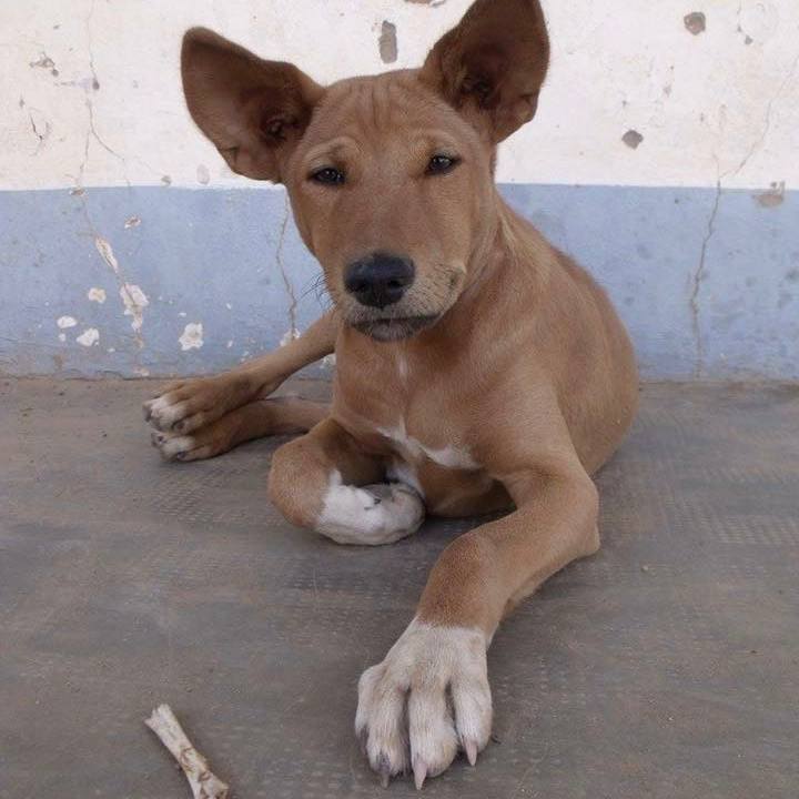 31d40efd d0a4 4f55 b9d8 c2a34439b98b 1539333281367